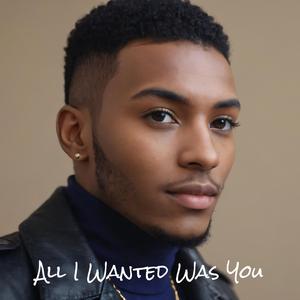 All I Wanted Was You