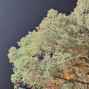 【Free】“Air”( R&B Type Beat)