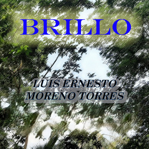 BRILLO