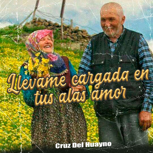 Llevame Cargada en Tus Alas Amor Mio
