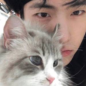 皇朝中我指鹿为马2.0