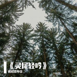 悠扬的夏日午后