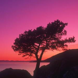 愿一天有人这样唱给我