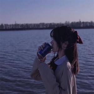 越南猛鼓（DJ版）