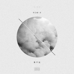 JilHel-殊不知（SINO remix）