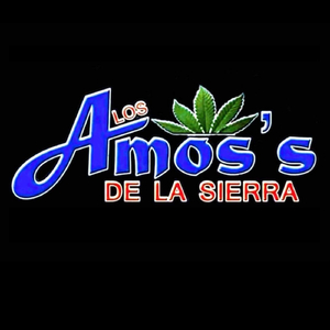 Ángeles en la Playa (En Vivo)