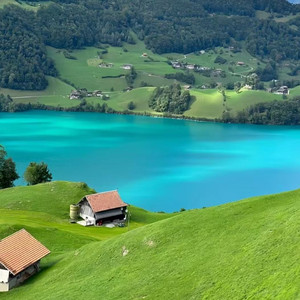 要怎么去爱 张宇佳