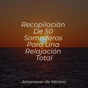 Los Tesoros Invisibles del Tiempo