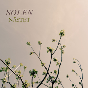 Solen