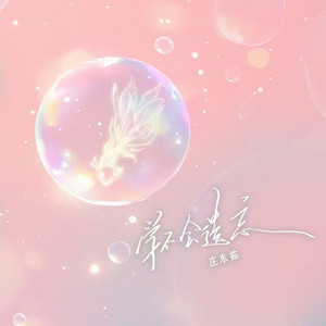 学不会遗忘 (DJ版)