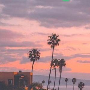 R.（翻自李子豪（翻自 李子豪(HtFR)）