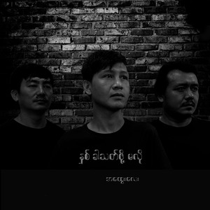 နှစ်ခါသတ်ဖို့မလို