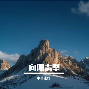 热血敢行