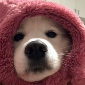 不再需要你(dj版)