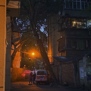 后来的你在哪（cover树泽）