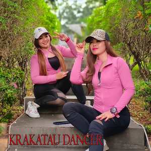 calm bray ins - zumba (Instrumental)