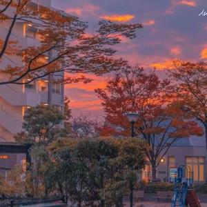 给你给我（cover：毛不易）