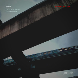 The Mysterious Forest