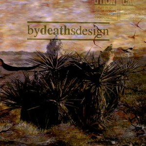 The Great Fashion Disaster