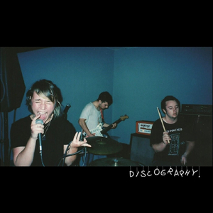 I'd Like You Better If You Were Two Pigs