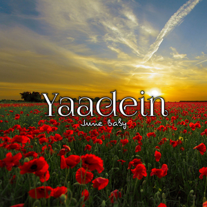 Yaadein