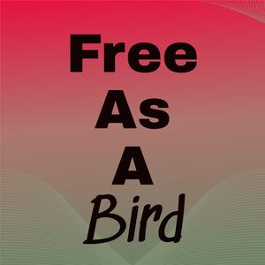 Now That Summer Is Here