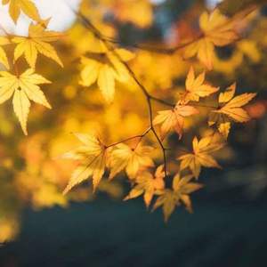 给我点时间去忘记(DJ默涵版)