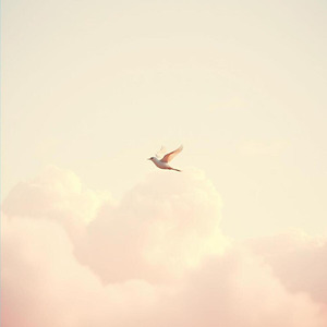 空を飛んでるような