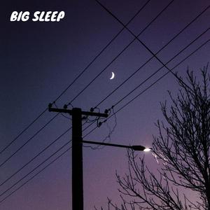 Big Sleep