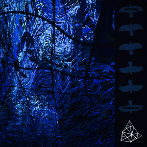 Оторвись от Земли