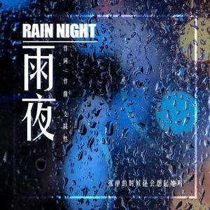 《雨夜 Rain Night》