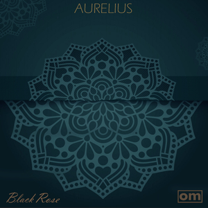 Till the End of Time (Feat. Tim Hazelberg)