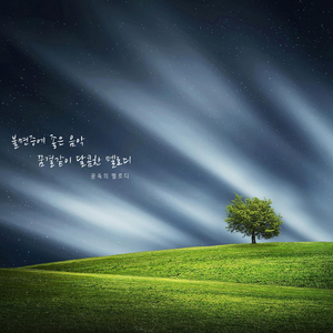 빗소리 자장가