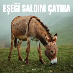 Eşeği saldım çayıra (Thrash metal)