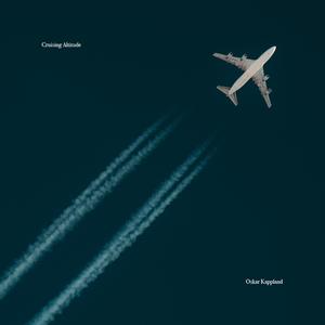 Cruising Altitude