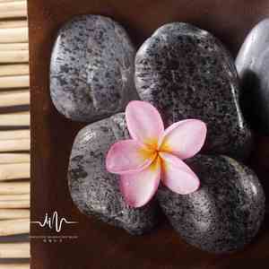 清歌 (扬琴采耳)