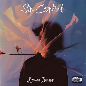 Sin Control