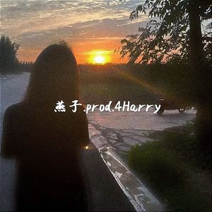 燕子.prod.4Harry