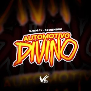 Automotivo Divino