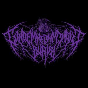 festering maggots (usteltzen ari diren zizareak)