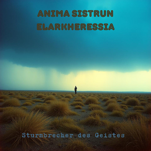 Sturmbrecher Des Geistes