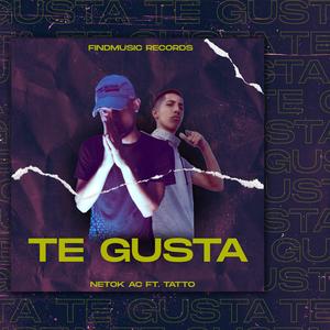 Te Gusta (feat. Tatto)