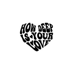 how deep is your love (seung remix)