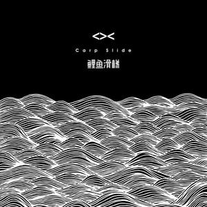 鲤鱼滑梯-众妙之门（鲤鱼滑梯 Remix）