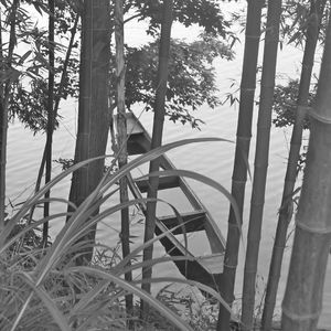 我又想到你每次写SHE,HER,她