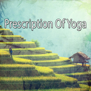 Rain with Quiet Bird Chorus