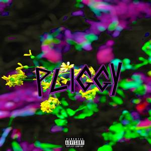 Pliggy