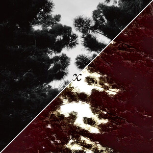 太陽系デスコ/太阳系迪斯科（翻自 初音ミク）