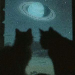 Trust me (女生版)