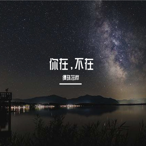 你在，不在